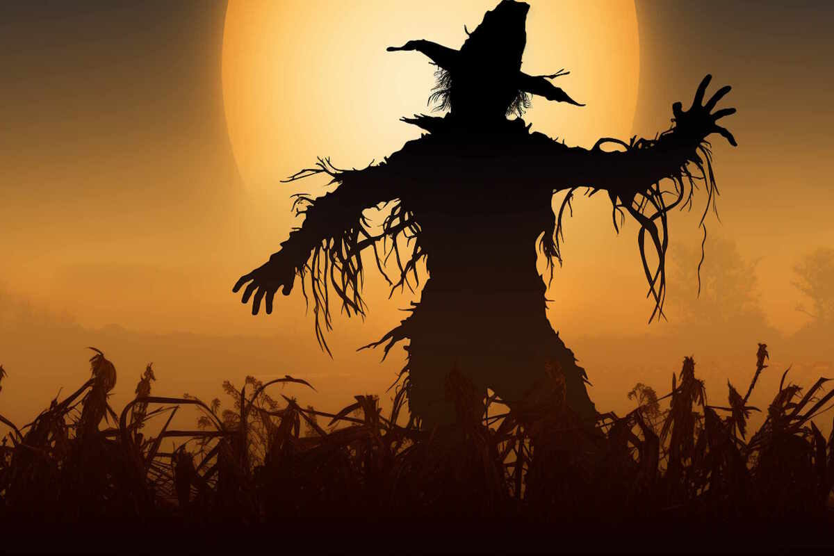 Фотография перформанса Шепот от компании Территория (Фото 1)