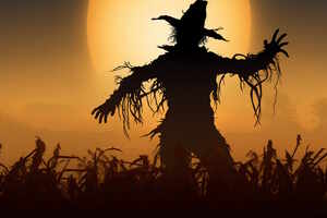 Фотография перформанса Шепот от компании Территория (Фото 1)